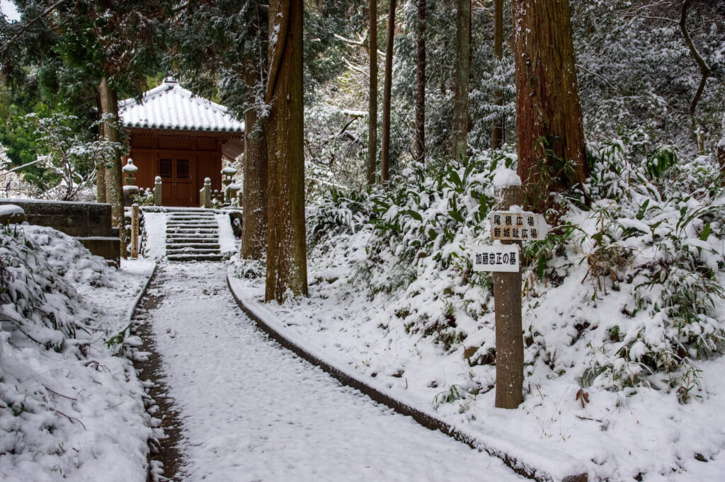 山道の写真